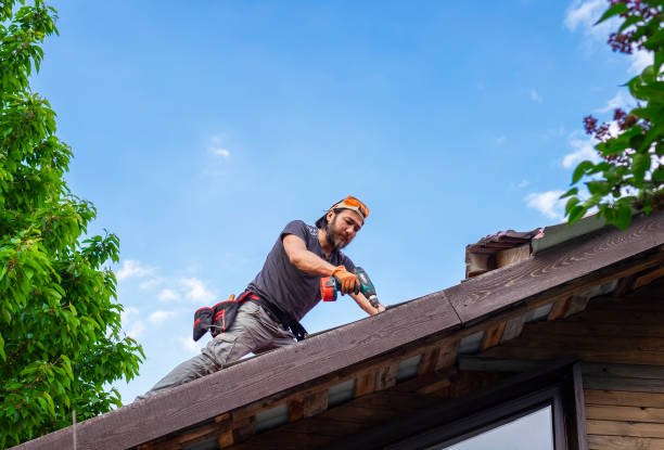 Best Roof Moss and Algae Removal  in Erma, NJ